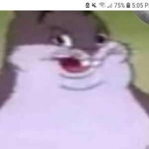 Meet your Posher, Chungus